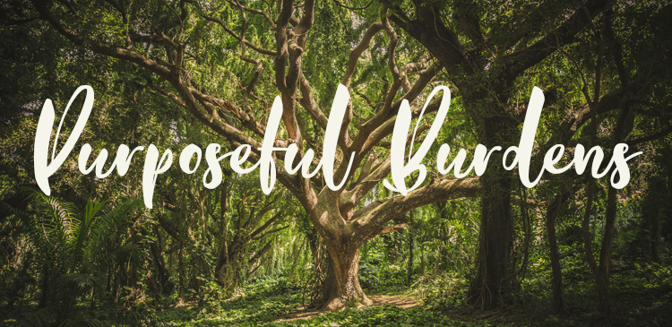 Begin your day right with Bro Andrews life-changing online daily devotional "Purposeful Burdens" read and Explore God's potential in you